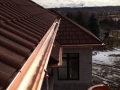 IMG_0049 (2)